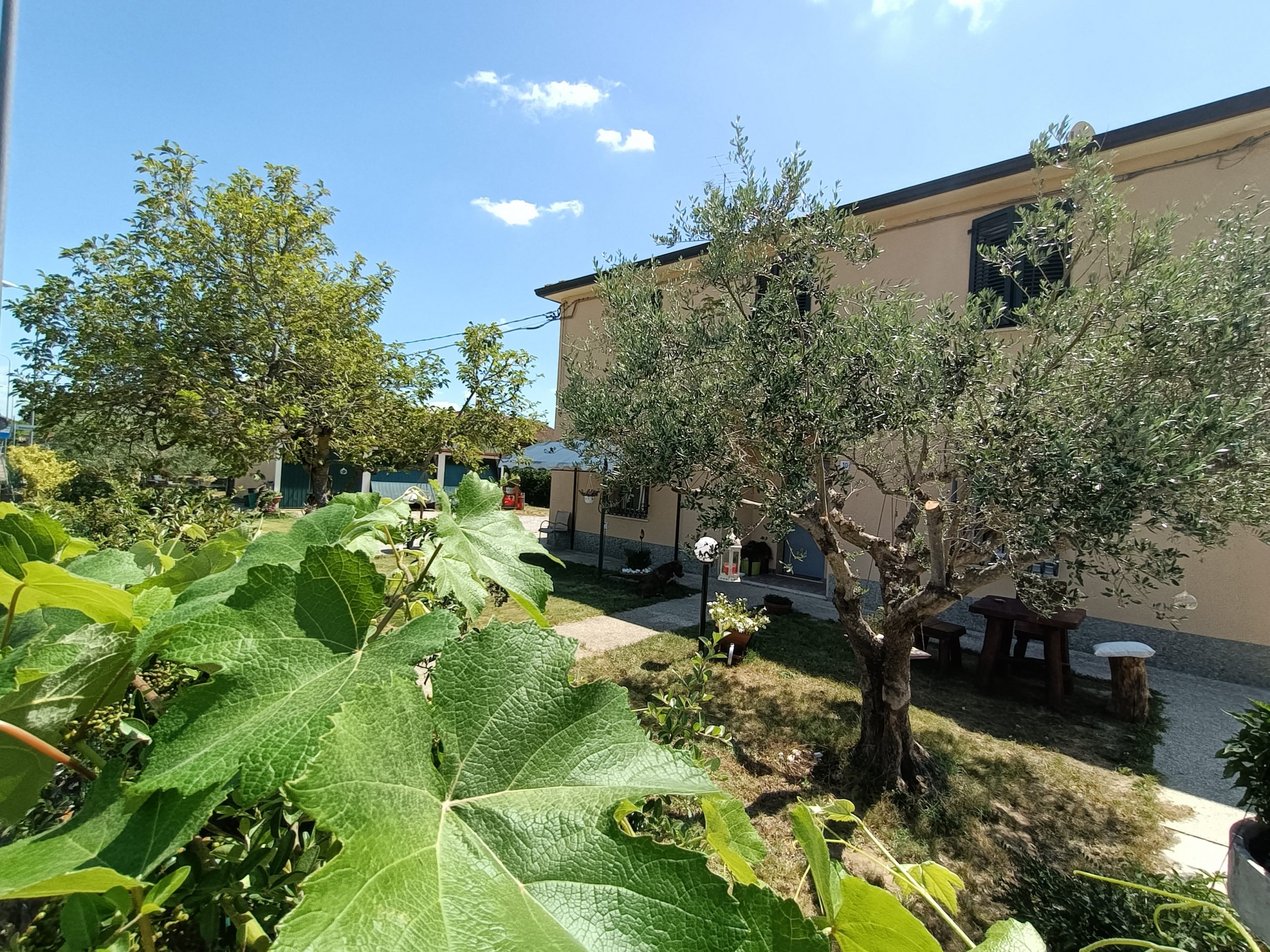 Brisighella loc Villa Vezzano casa indipendente con giardino richiesta € 315.000